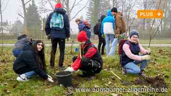 Tausende neue Bäume für den Bürgerwald in der Hammerschmiede