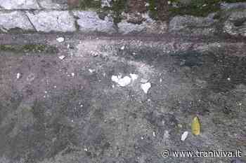 Cadono calcinacci dal muro laterale della chiesa di San Domenico - TraniViva