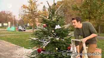 Eerste kerstbomen duiken op in Brasschaat: “Meer dan andere jaren”