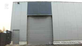 Grote cannabisplantage ontdekt in Balense loods