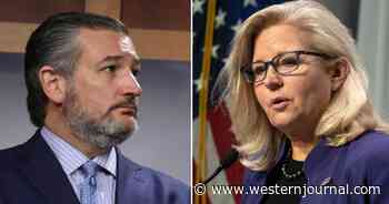CNN Floats a Liz Cheney Presidential Run, But Ted Cruz Weighs in and Immediately Crushes the Notion