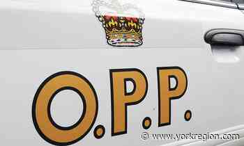 3 Markham residents among 5 charged in $3.7M bust at North Bay grow-op - yorkregion.com