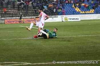 Totò Di Natale ferma l'Ancona-Matelica A Carrara finisce 1 a 1 - Cronache Ancona