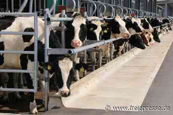 Molkerei: Lange Lieferfristen bereiten Vogtlandmilch Sorgen - Freie Presse