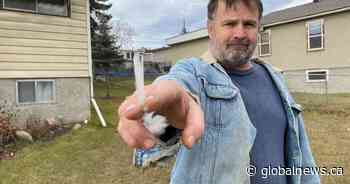 Departure of chicken plant ‘huge win-win-win’ for Calgary neighbourhood - Global News