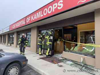 Vehicle drove into downtown vet - Kamloops News - Castanet.net