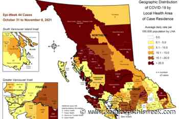 Confirmed weekly COVID-19 case count in Kamloops area remains stable - Kamloops This Week