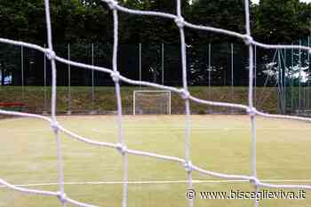 Il Nettuno lotta strenuamente ma deve cedere al Cus Bari capolista - BisceglieViva