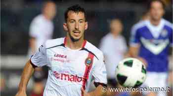 Di Cecco: "Bari non è la Ternana, c'è una squadra che può rimontarlo" - TifosiPalermo