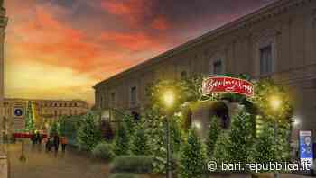 Natale a Bari, in piazza del Ferrarese un bosco con luci e musiche. Decaro: "Viviamo la città" - La Repubblica