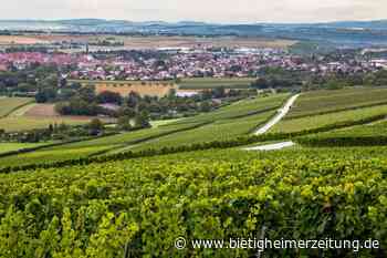 Rückrufaktion der Weingärtner Stromberg-Zabergäu: Trübe Weine aus dem Handel zurück - Bietigheimer Zeitung