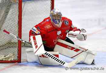Falken siegen weiter: 9:5 in Adendorf - Sport im Harz - Goslarsche Zeitung