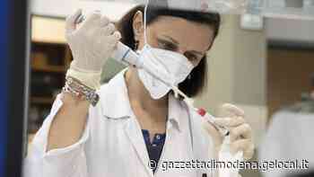 Modena. Sondaggio Ausl: «Vaccini, il 44% dei genitori influenzato da fake news» - La Gazzetta di Modena