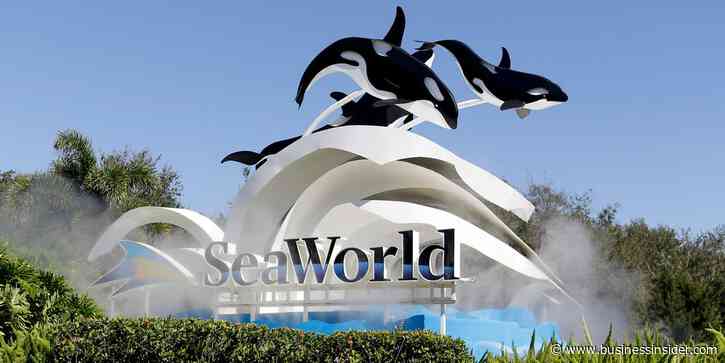 A former Sea World staffer, who says she was fired after 45 years, is suing the company for alleged age discrimination and decades of unpaid overtime