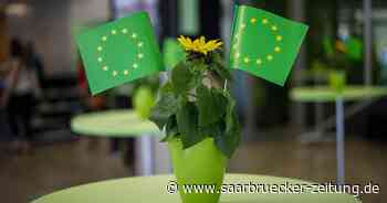 Kreisversammlung Die Grünen Neunkirchen - Saarbrücker Zeitung