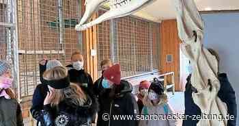 Zooprojekt Krebsberg-Gymnasium Neunkirchen - Saarbrücker Zeitung