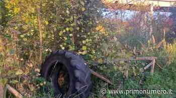 Grosso pneumatico sulla nuova pista ciclopedonale del parco di Termoli - Primonumero