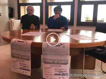 Termoli schiacciata dall'assenza di posti in cui fare cultura: l'idea vincente dell'Associazione Alta Marea - Il Quotidiano del Molse