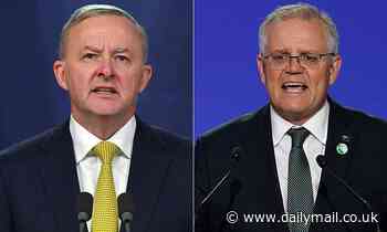 Newspoll, Labor, Coalition, Scott Morrison, Anthony Albanese: ALP still ahead - Daily Mail