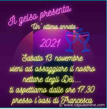Capua. Associazione "Il Gelso": un'ottima annata... degustazione di vini locali e non solo. - Capuaonline.com