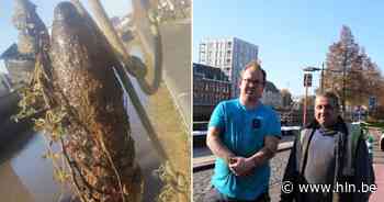 Magneetvissers halen bom uit Afleidingsdijle - Het Laatste Nieuws