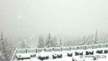 Snow, heavy winds and freezing rain could cause issues for drivers in Alberta