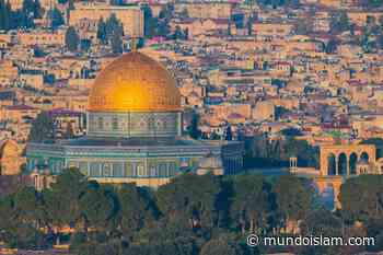 Musulmanes y cristianos unidos para salvar los santos lugares de Palestina - Mundo Islam