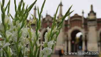 Los cementerios preparan el Día de Todos los Santos: el precio de las flores crece hasta un 40% - laSexta