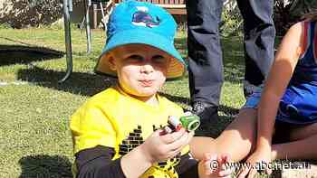 'A wonderful future ahead of him': Coronial report into four-year-old's death calls for tougher health screening for truck drivers