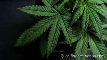 Aurora Cannabis (TSX:ACB) Stock Releases Earnings Bomb! - Yahoo Canada Finance