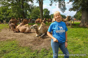 Kamelmilch - Das weiße Gold der Lüneburger Heide | top agrar online - top agrar online