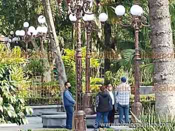 Rehabilitarán orquídeas del parque Miguel Hidalgo, en Coatepec - alcalorpolitico