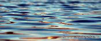 Kommentar von Oliver Stade: FDP mit viel Meinung, aber ohne Substanz - Nachrichten aus Goslar und dem Harz - Goslarsche Zeitung - Goslarsche.de - Goslarsche Zeitung