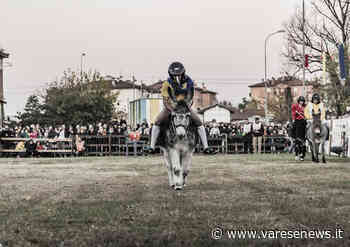 Il Palio della Rama di Pomm a Gallarate entra nel vivo e si prepara al gran finale - varesenews.it