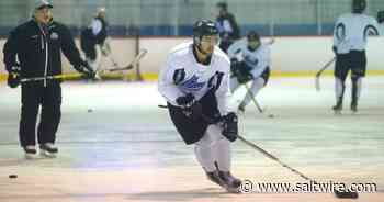 Former Cape Breton Eagle Dillon Boucher named Dalhousie male athlete of the week - SaltWire Network