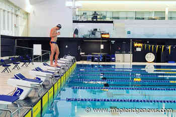 Haney Seahorse club swimmers competing all over Lower Mainland – Maple Ridge News - Maple Ridge News