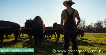 COP26 Not Tackling Food and Livestock Emissions, Experts Warn - Green Queen Media