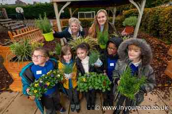 School children get hands dirty learning about sustainable food and gardening - In Your Area
