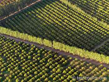 Latin America’s food paradox - TechCrunch