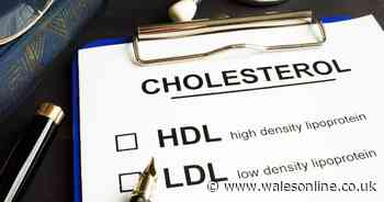 Just one teaspoon of a 50p food daily found to slash your cholesterol levels by 10 per cent - Wales Online