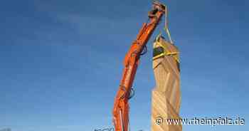 Neues Hotel für Fledermäuse - Mannheim - DIE RHEINPFALZ - Rheinpfalz.de