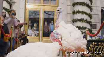 Turkeys from Jasper to be pardoned by President Biden - wpta21.com