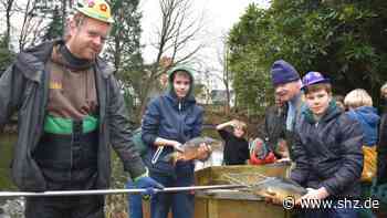 Nach Corona-Pause : Tornesch: Abfischen im Birkenhain wieder mit Volksfeststimmung | shz.de - shz.de