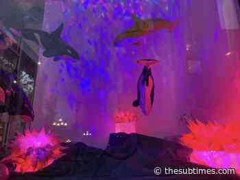 Tacoma Light Trail to shine for a second year with light art, sound and live performances – The Suburban Times - The Suburban Times