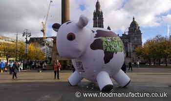 Government urged to shift to plant-based food system