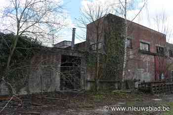 Gemeente geeft groen licht aan project Keirlandse Zillen met 350 woningen, park en toren van twaalf bouwlagen