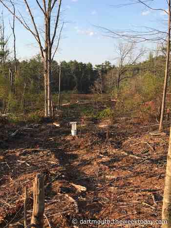 Lloyd Center Samples Moth Population at Restoration Sites in Rhode Island - Dartmouth Week