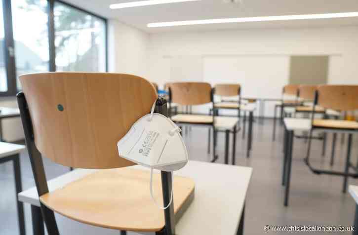 Doom and Zoom: The Battle to Keep Schools Open, Carla R, Holy Cross School
