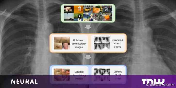 Google Research: Self-supervised learning is transforming medical imaging