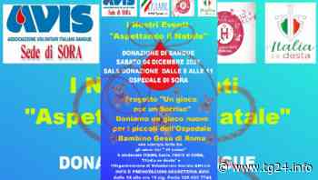 Sora – Avis: “Un gioco per un Sorriso” - TG24.info